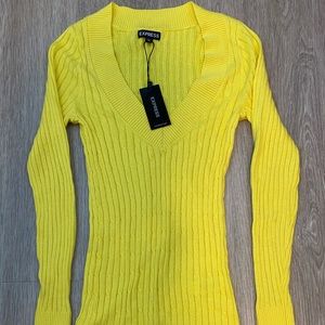 Express v-neck sweater